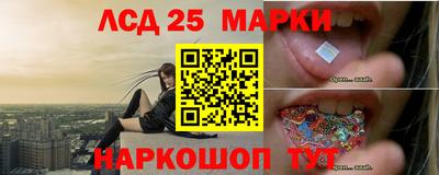 гидра Краснокаменск