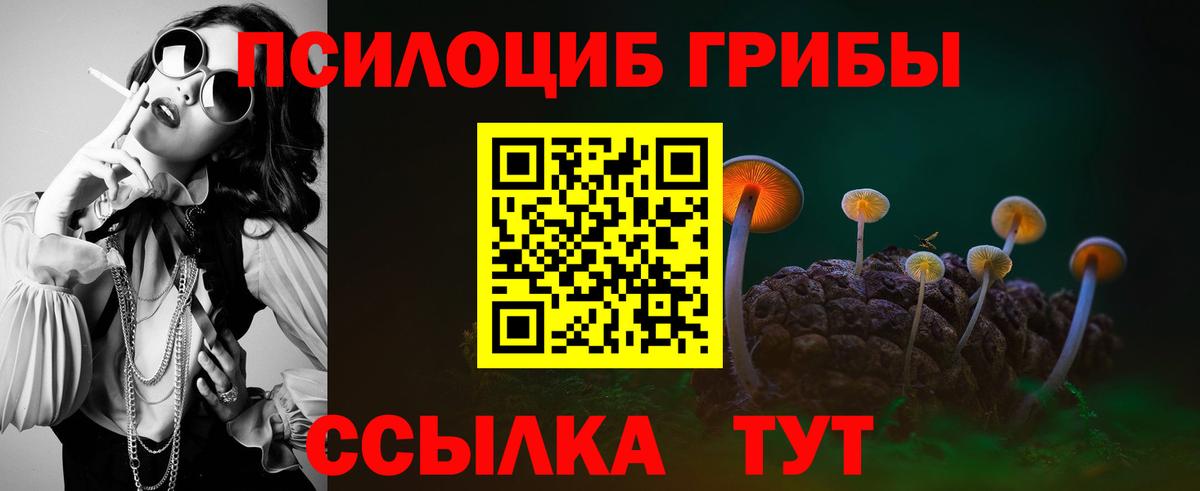 Псилоцибиновые грибы MAGIC MUSHROOMS  Псилоцибиновые грибы MAGIC MUSHROOMS  Кольчугино  Вход с VPN 